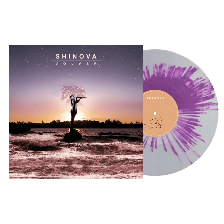 Vinyl The Present