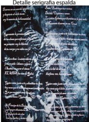 Camiseta manga larga Diabulus in Musica